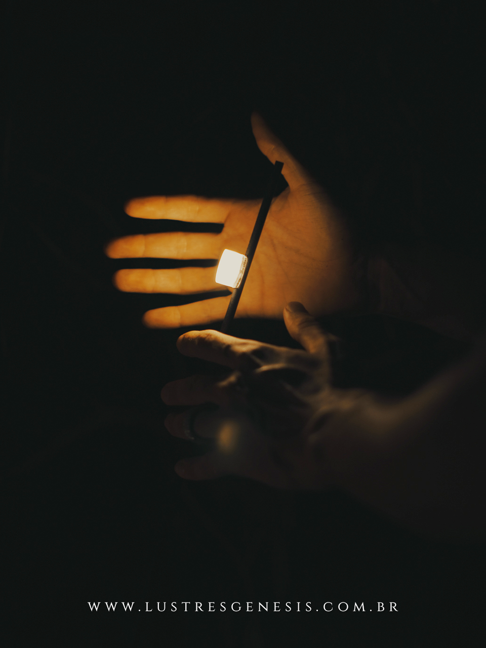 Capim II Bella Italia: O Balizador Perfeito para Paisagismo Moderno